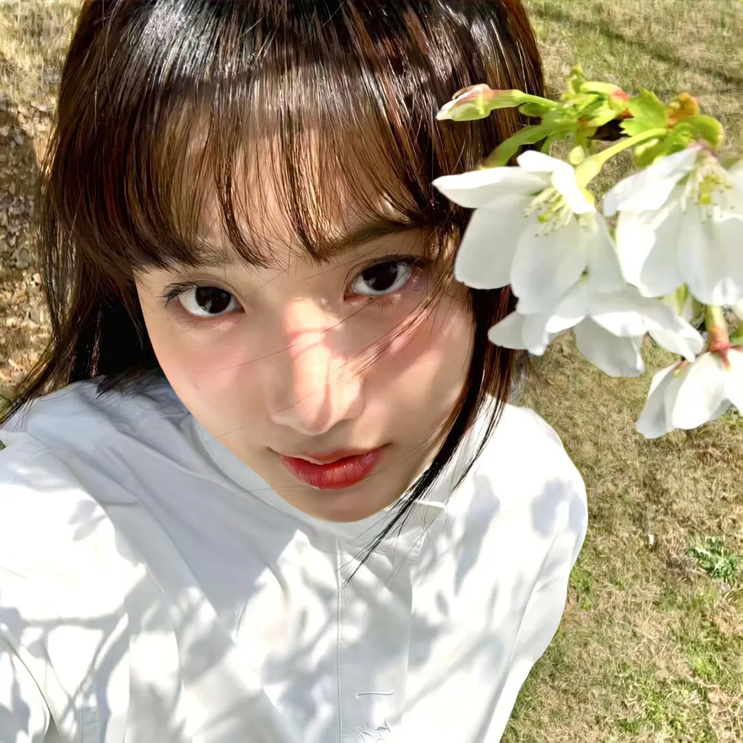 查莉成长日记：圣诞假期