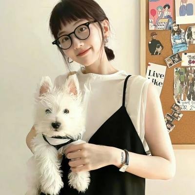 新宿天鹅2：横滨暴走